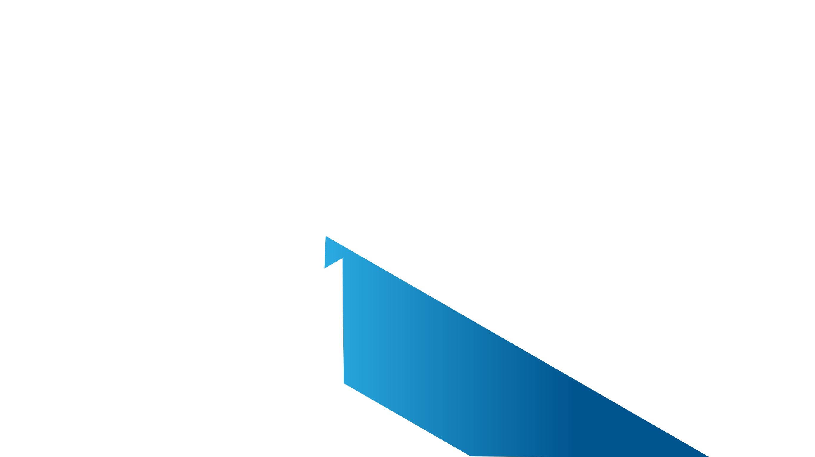 Website Design and Development