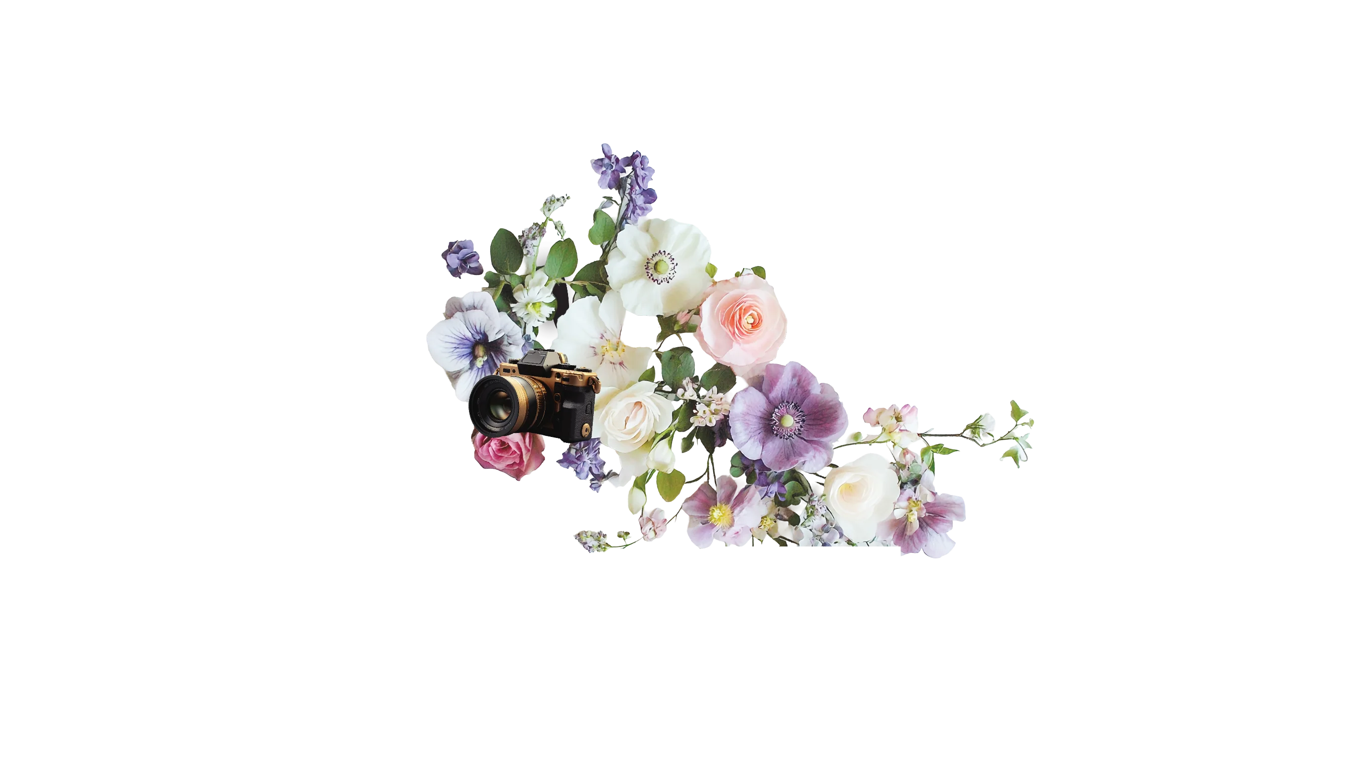 Website Design and Development