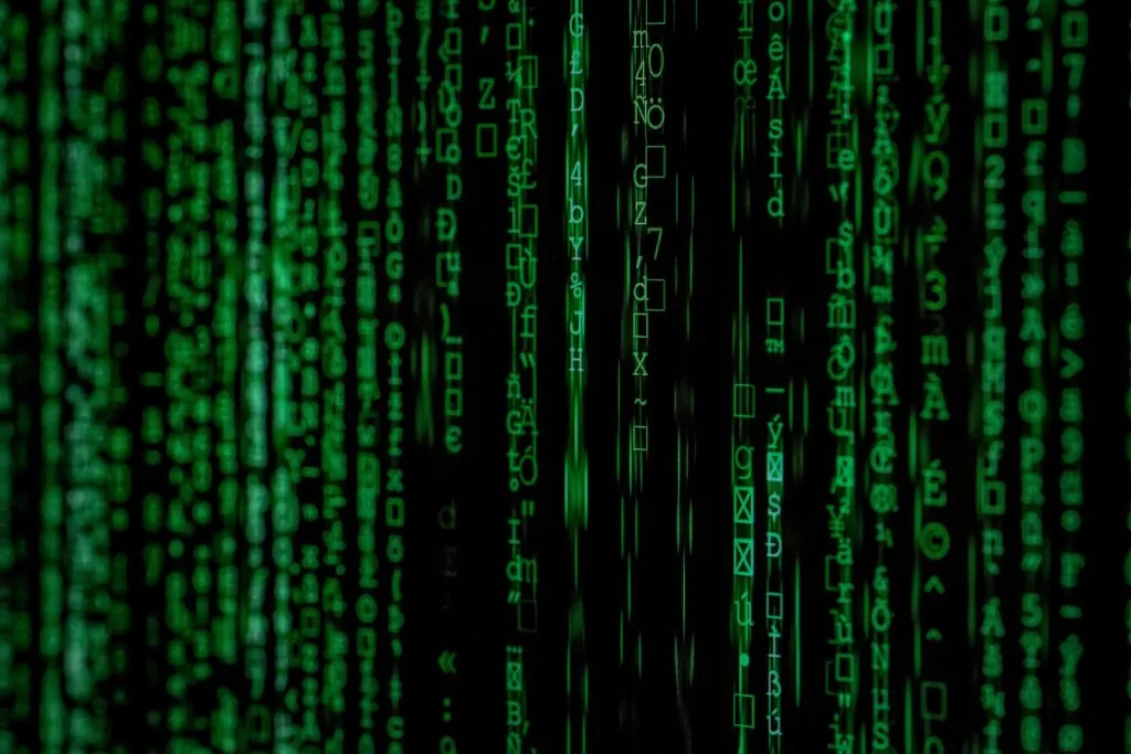 Raw digital data visualized as code, filtered by a web development agency for key insights